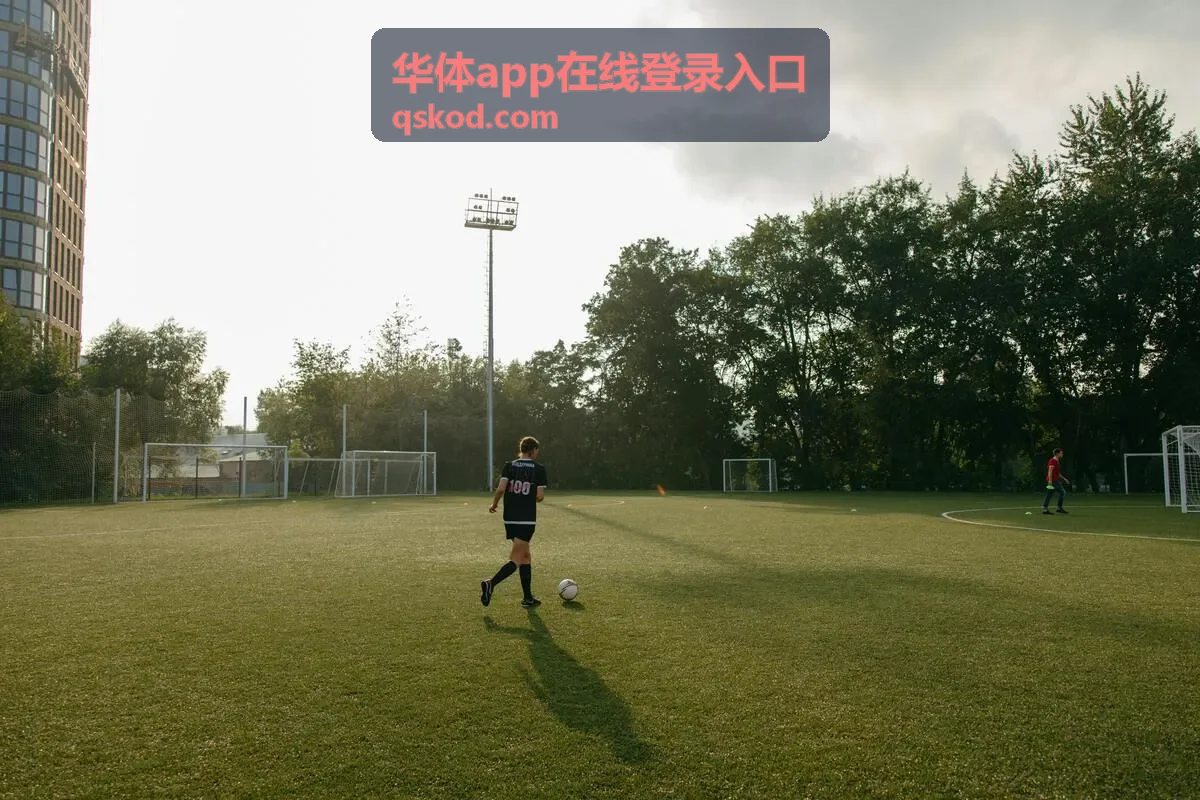 华体app在线登录入口打开登录页面