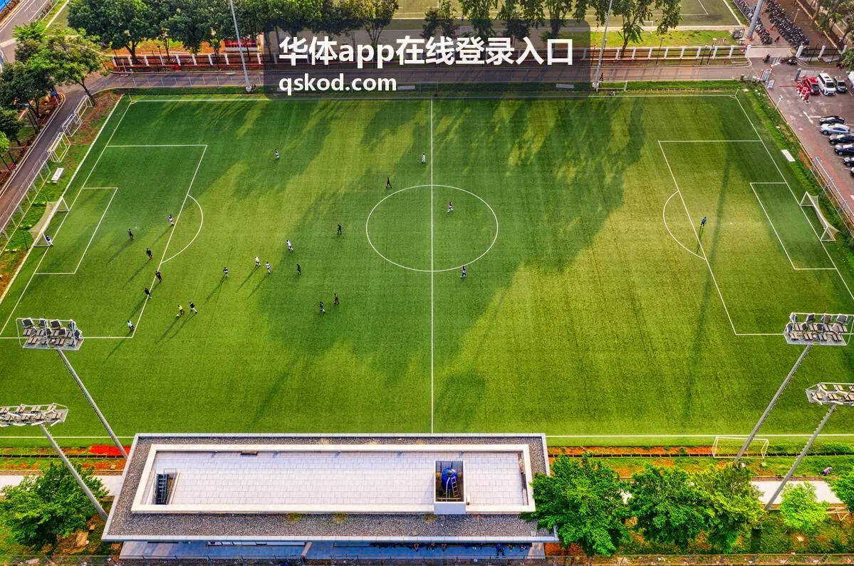 华体app在线登录入口完成安全验证