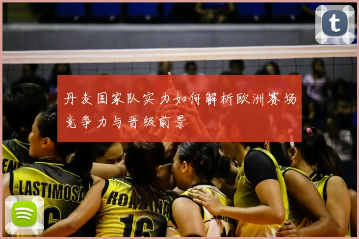 丹麦国家队实力如何解析欧洲赛场竞争力与晋级前景