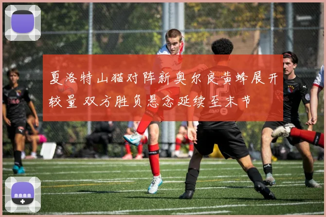 夏洛特山猫对阵新奥尔良黄蜂展开较量 双方胜负悬念延续至末节