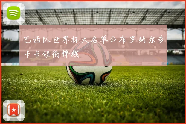 巴西队世界杯大名单公布罗纳尔多卡卡领衔锋线