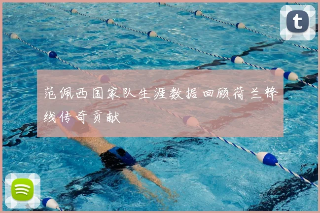 范佩西国家队生涯数据回顾荷兰锋线传奇贡献