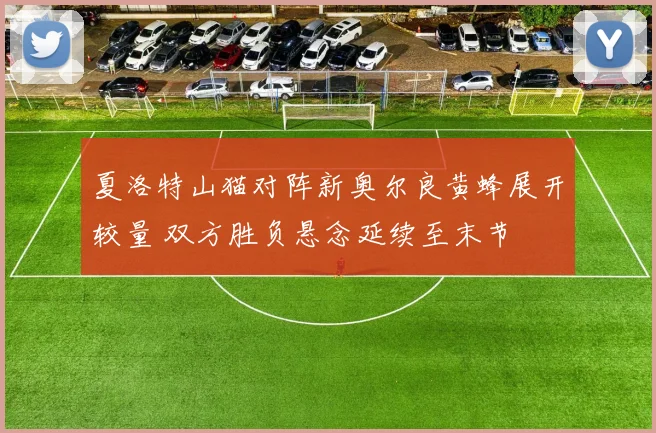 夏洛特山猫对阵新奥尔良黄蜂展开较量 双方胜负悬念延续至末节