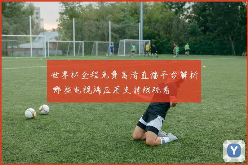 世界杯全程免费高清直播平台解析 哪些电视端应用支持线观看