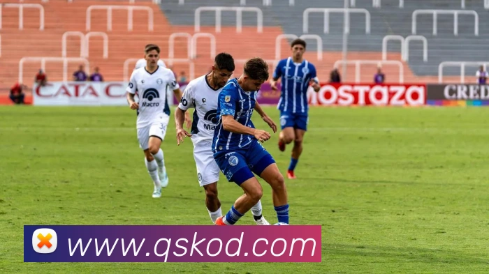 开云线上登录平台入口平台生态图