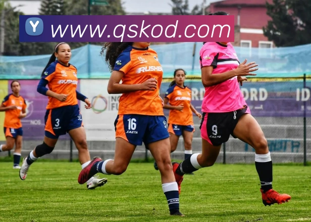 开云线上登录平台入口APP 封面图